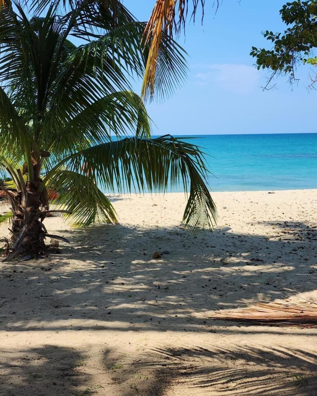 Aquatika Paraiso Tropical Loiza Eksteriør billede