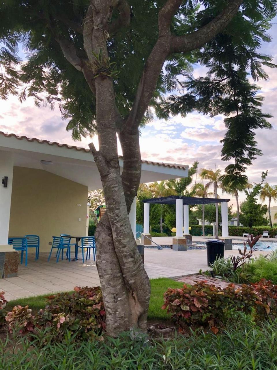 Aquatika Paraiso Tropical Loiza Eksteriør billede