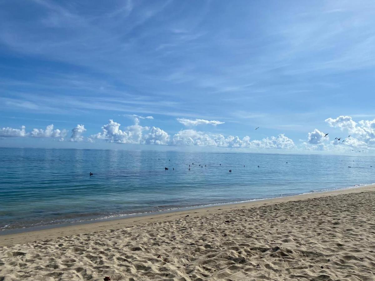 Aquatika Paraiso Tropical Loiza Eksteriør billede